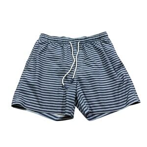 Southern Tide Mens Blue Striped Mesh Swim Trunks Board Beach Fish Shorts Surf L